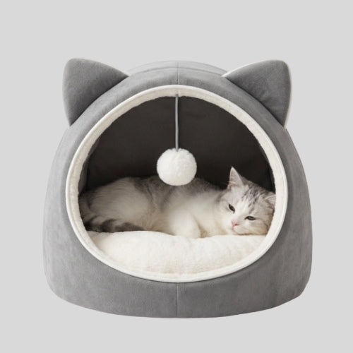 Cat Beds