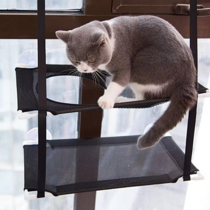 Cat Hammock Window Bed – Double Decker Hanging Sunny Seat
