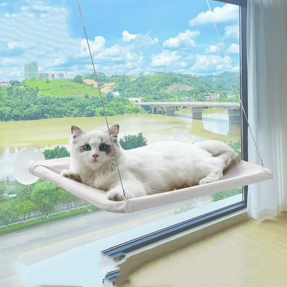 Cat Window Perches – Cozy Hammock Beds